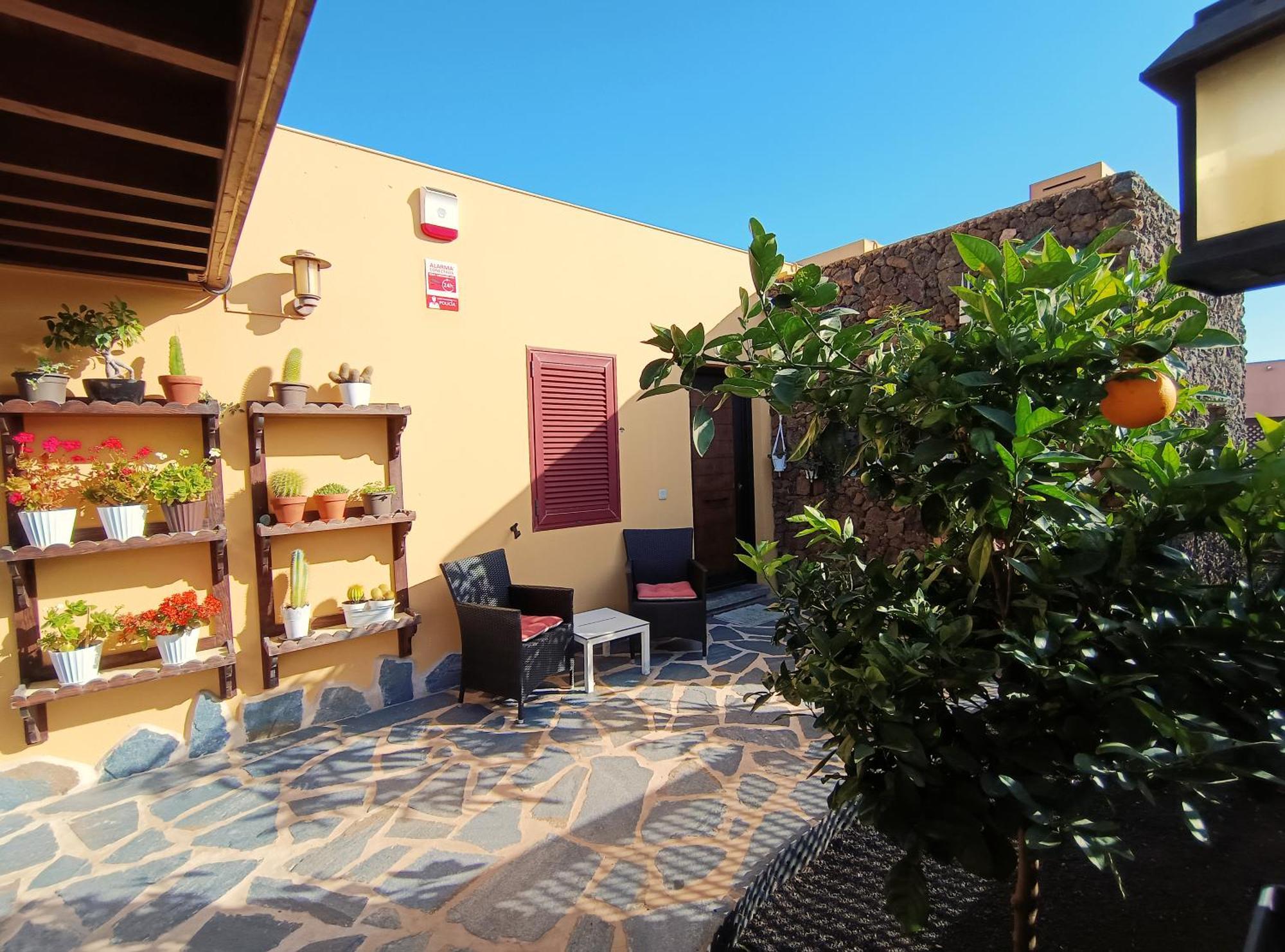 Villa Enola La Oliva Bagian luar foto