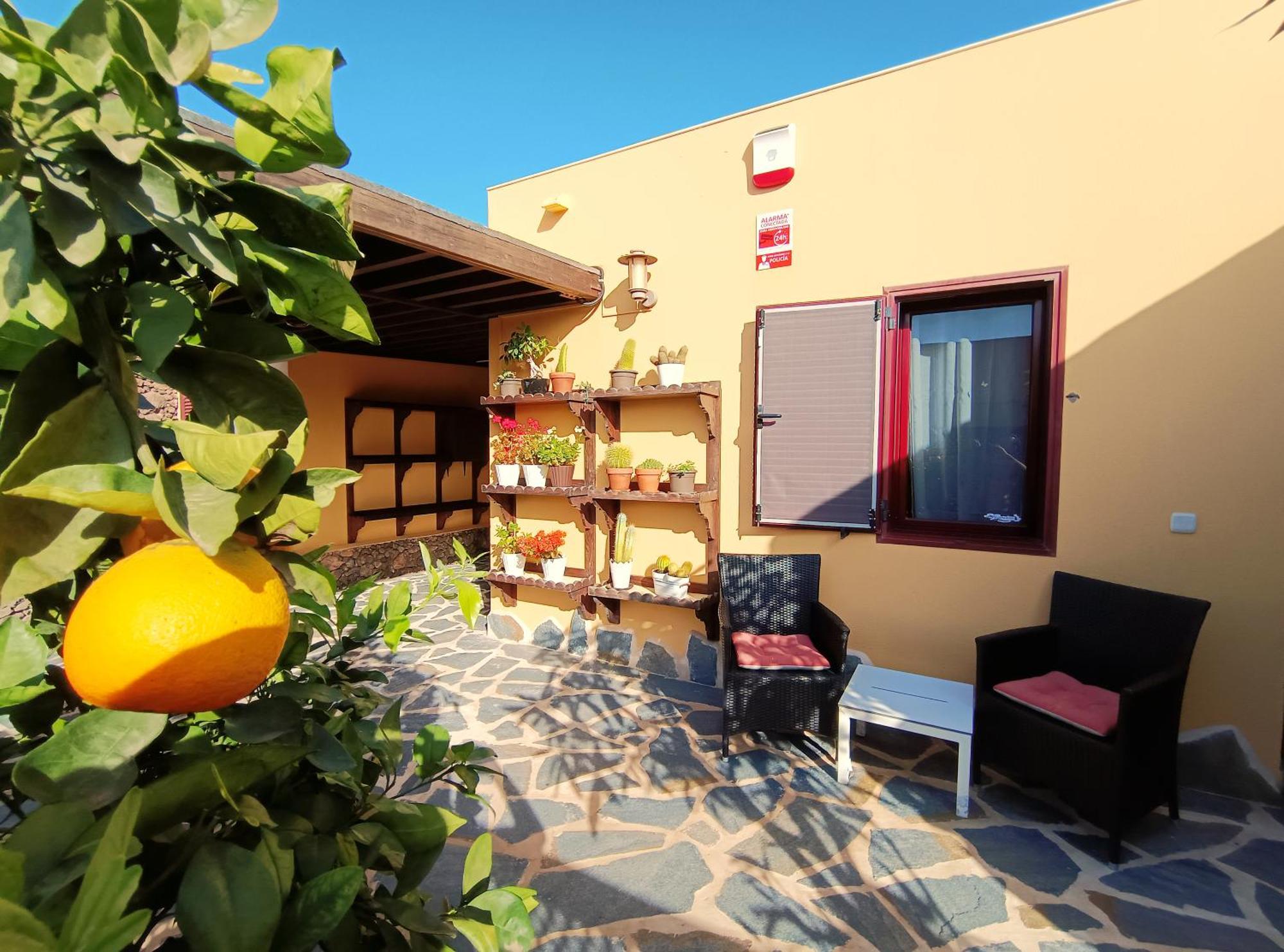 Villa Enola La Oliva Bagian luar foto